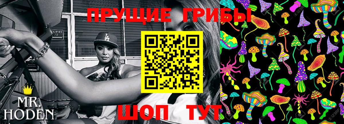 Галлюциногенные грибы Psilocybe  Галлюциногенные грибы Magic Shrooms  Вход с VPN  Златоуст 