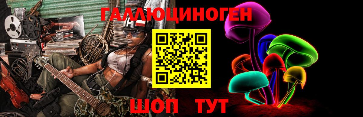 Галлюциногенные грибы Psilocybe Златоуст